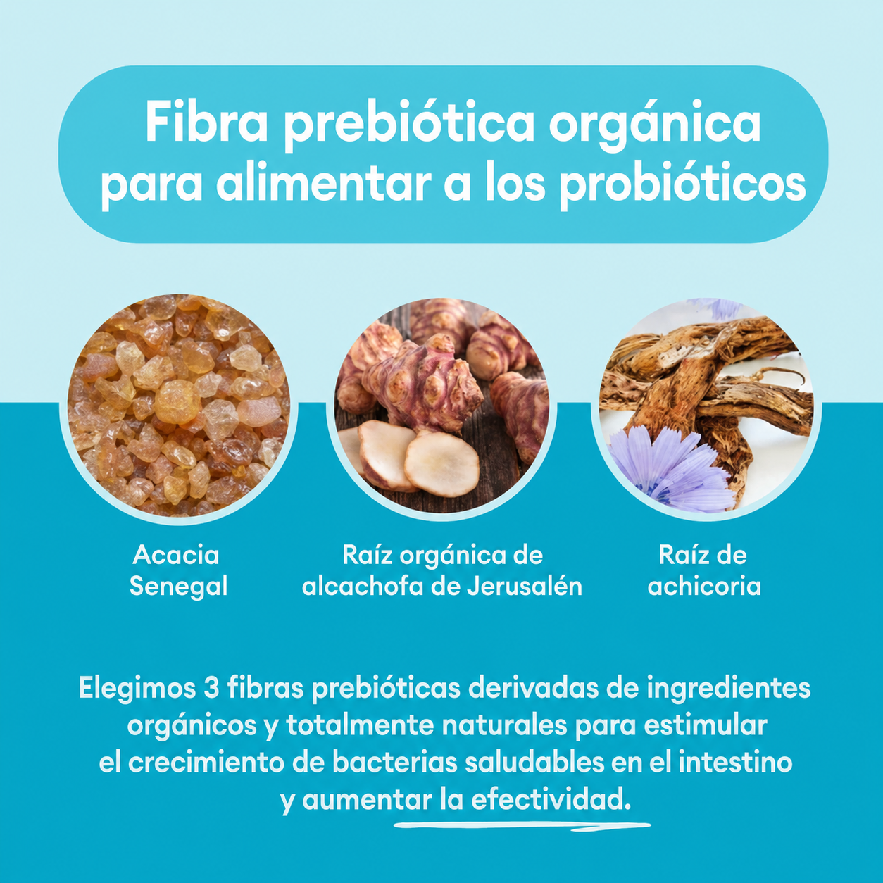 Kit Probióticos + Enzimas Salud Intestinal