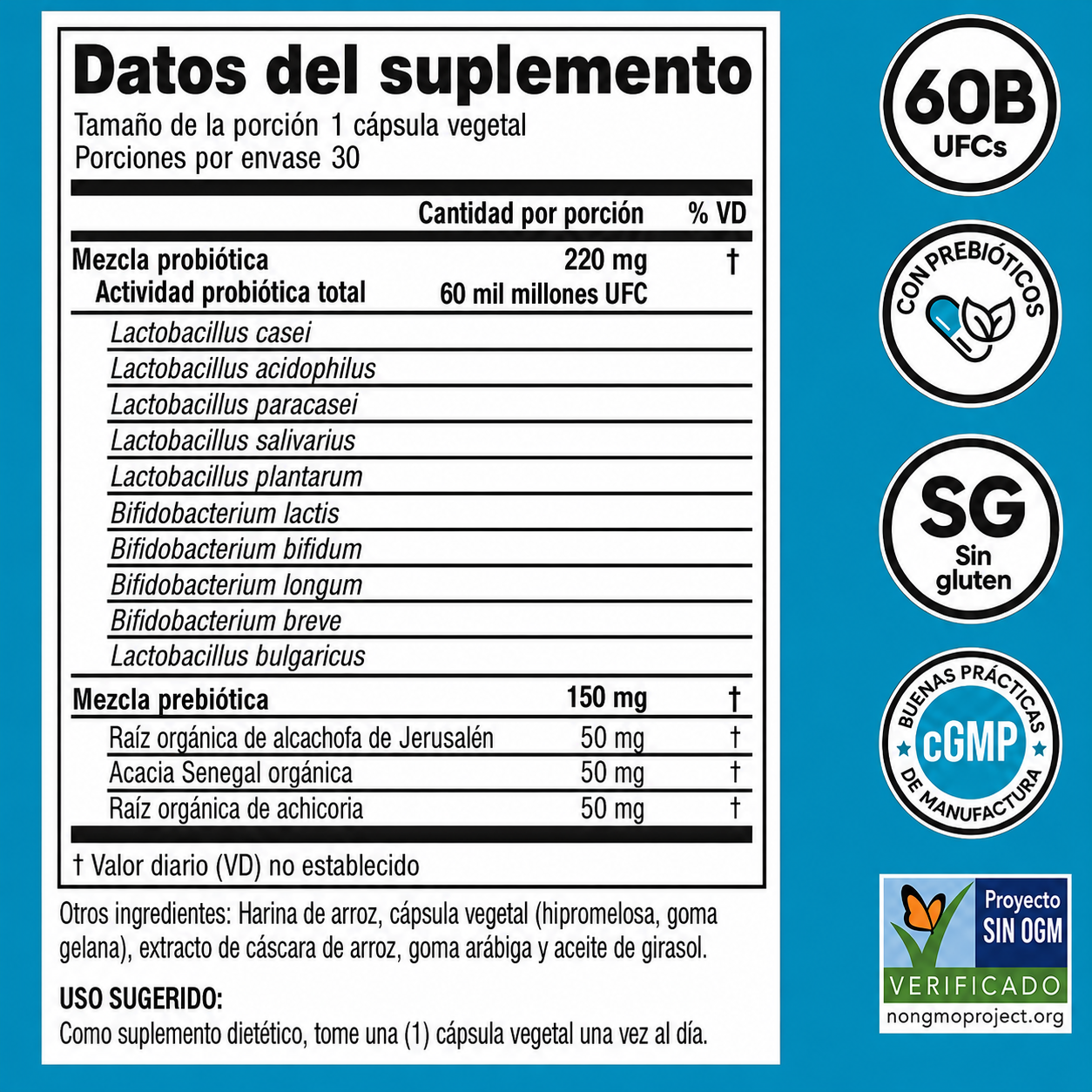 Kit Probióticos + Enzimas Salud Intestinal